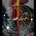 نمونه کار فاطمه اردمه