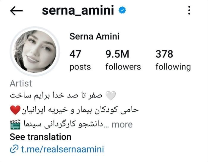 سرنا امینی