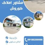نمونه کار شیما محمدی