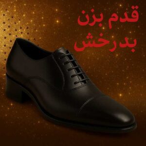 نمونه کار ادمین امیررضا حبیبی