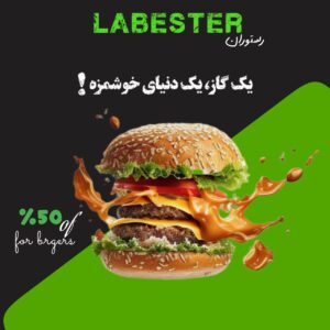 نمونه کار ادمین فروغ محمدی