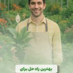 نمونه کار مهسا مرحبی