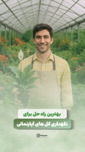 نمونه کار ادمین مهسا مرحبی