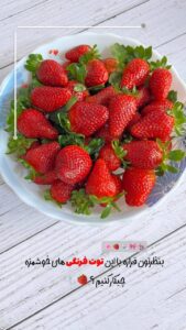 نمونه کار ادمین عسل حاجی زاده