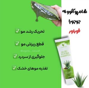 نمونه کار ادمین پناه جمالی