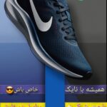 نمونه کار والارضا مقدم