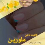 نمونه کار تکتم صالحی