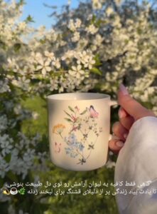 نمونه کار ادمین صبا حسینی