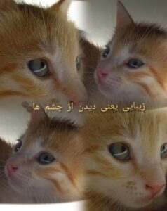 نمونه کار ادمین صبا حسینی