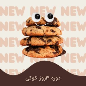 نمونه کار ادمین لیلا صادقی