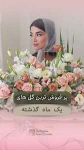 نمونه کار ادمین سانیا استادی