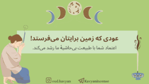 نمونه کار ادمین رضوان واقفی