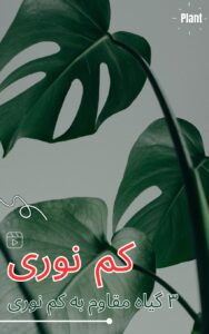 نمونه کار ادمین پردیس زارع‌پیشه