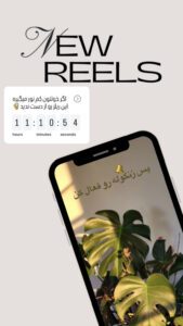 نمونه کار ادمین پردیس زارع‌پیشه