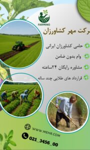 نمونه کار ادمین محمد مهدی آرزم