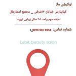 نمونه کار حدیث حمیدیان
