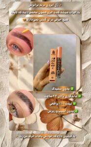 نمونه کار ادمین حدیث حمیدیان
