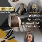 نمونه کار عاطفه علی محمدی
