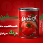 نمونه کار آیناز میرزائی
