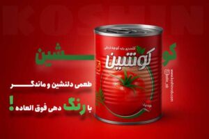 نمونه کار ادمین آیناز میرزائی