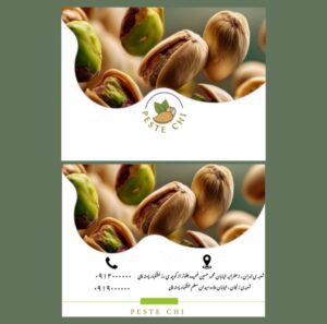نمونه کار ادمین ستاره گراوند