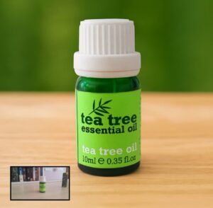 نمونه کار ادمین حنانه سادات یاسینی