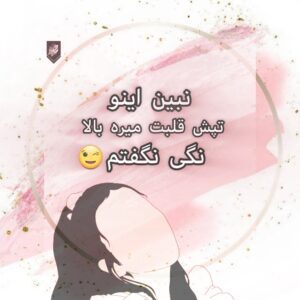 نمونه کار ادمین 09046301616