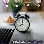 نمونه کار نفیسه محمد نیا