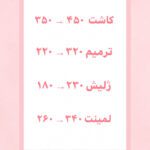 نمونه کار آنا اشرف نژاد