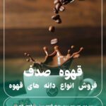 نمونه کار آرزو نصیری