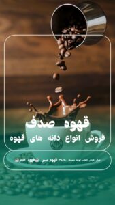 نمونه کار ادمین آرزو نصیری