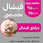 نمونه کار مبینا تقی زاده