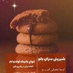 نمونه کار شادی حیدرنیا