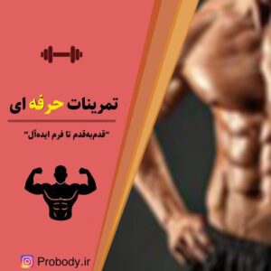 نمونه کار ادمین سپیده بیات