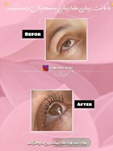 نمونه کار ادمین سوگند جاوند