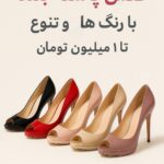 نمونه کار سبا پازوکی