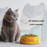 نمونه کار زهره عبدلی