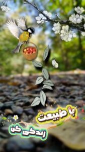 نمونه کار ادمین 09198314808