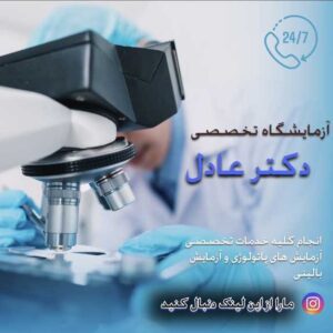 نمونه کار ادمین نرگس پاپی
