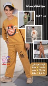 نمونه کار ادمین روشنک آرمانده