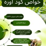 نمونه کار روشنک آرمانده