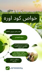 نمونه کار ادمین روشنک آرمانده