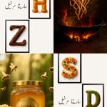 نمونه کار سارینا سرخیل