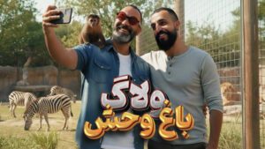 نمونه کار ادمین متین عامریان