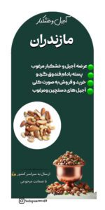 نمونه کار ادمین سمانه اصلانی