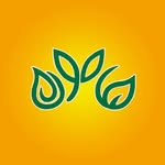 شرکت پخش هامون