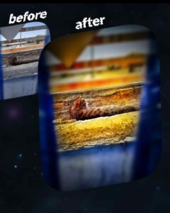 نمونه کار ادمین مریم شبرنگ