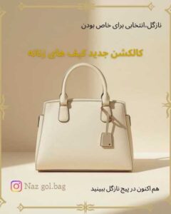 نمونه کار ادمین صالحه همایونی