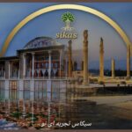 نمونه کار آمنه محمدی