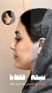 نمونه کار ادمین پریسا هادی